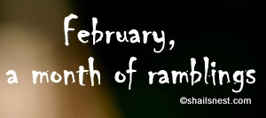 february ramblings